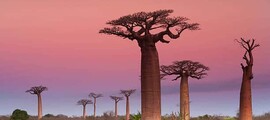 La Réunion - Mauritius: trasferimento in elicottero