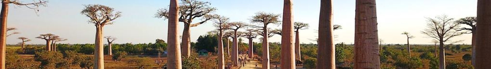 Morondava : noleggio jet privati