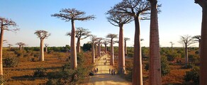 Morondava : noleggio jet privati