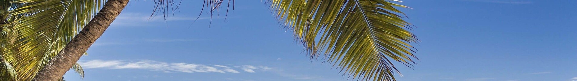 Nosy Be Fascene : noleggio jet privato 