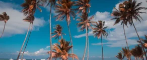 Punta Cana: noleggio di jet privati