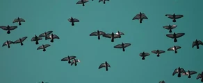 Saransk : noleggio jet privati