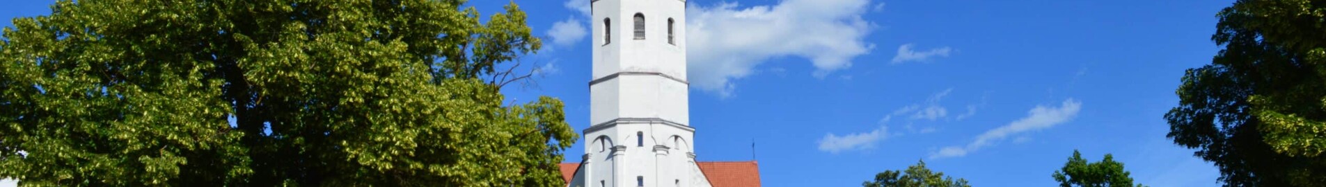 Siauliai : noleggio jet privati 