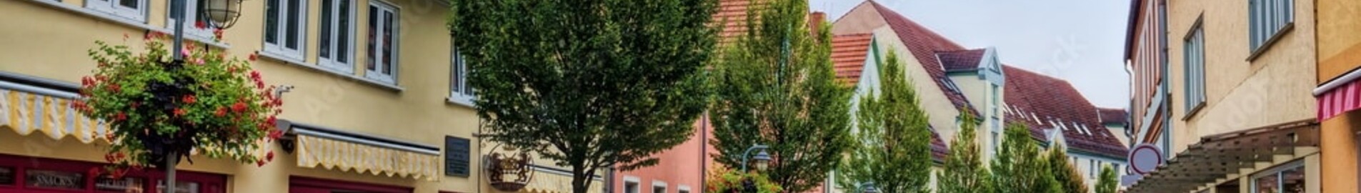 Sommerda : noleggio di jet privati 