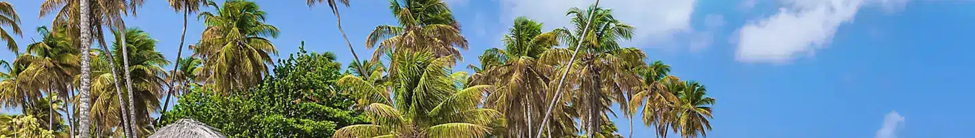 Tobago Scarborough Crown Point : noleggio jet privato 