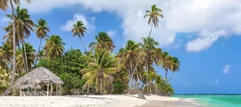 Trinidad e Tobago : Noleggio jet privati
