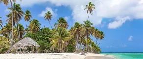 Tobago Scarborough Crown Point : noleggio jet privato 