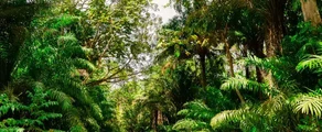 Trinidad e Tobago : Noleggio jet privati