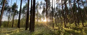 Tver Migalovo: noleggio jet privati