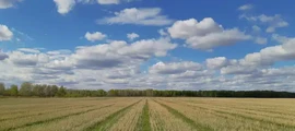 Petropavlovsk Yelizovo : noleggio jet privati 