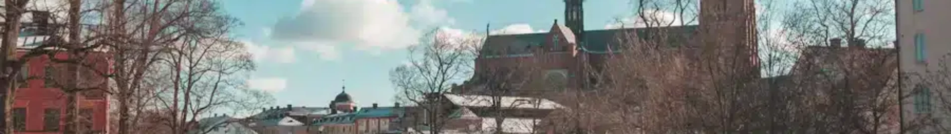 Uppsala : noleggio jet privati