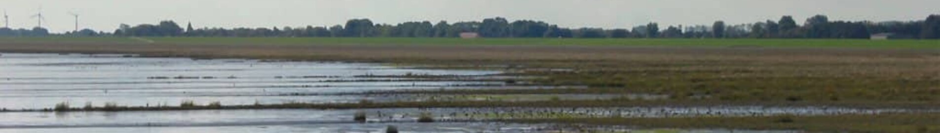 Wilhelmshaven Mariensiel : noleggio jet privato 