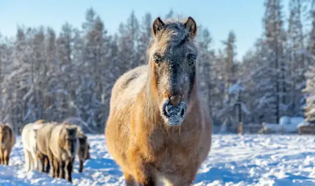 Yakutsk : location de jet privé