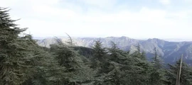 Noleggio jet privati Algeria