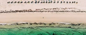 Djerba Zarzis : noleggio jet privato