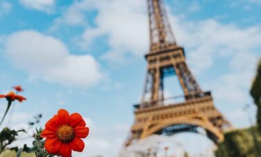 rapatriement en France, fleurs rouges devant la tour Eiffel