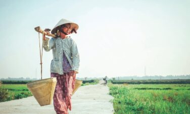 Sentier rural du Vietnam : tenue traditionnelle, chapeau conique, joug.