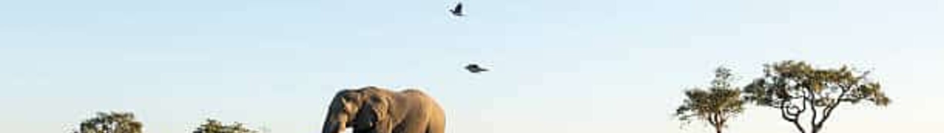 Trasporto aereo in Africa con AEROAFFAIRES