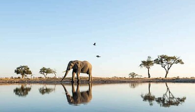 Trasporto aereo in Africa con AEROAFFAIRES