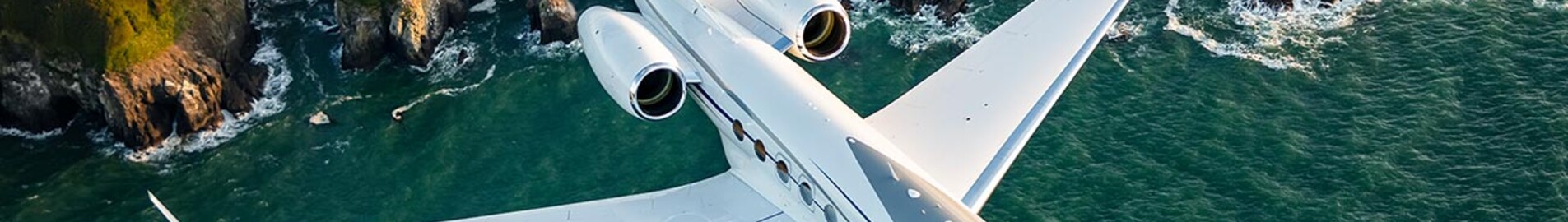 I jet privati di Elon Musk