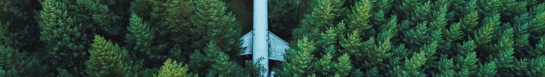 Biocarburanti (SAF): il futuro dell’aviazione d’affari?