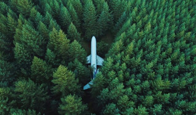 Avion dans une foret