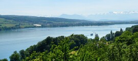 Basilea Mulhouse Friburgo : noleggio jet privato 