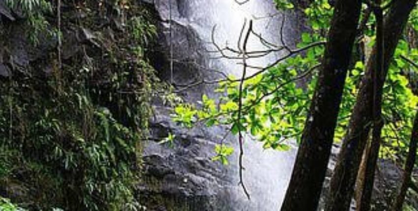 cascade d'eau Bride's Veil