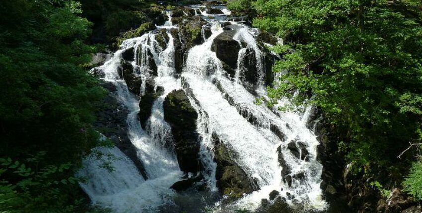 swallow falls