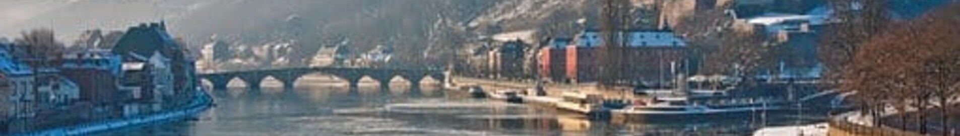 Noleggio jet privati a Namur 