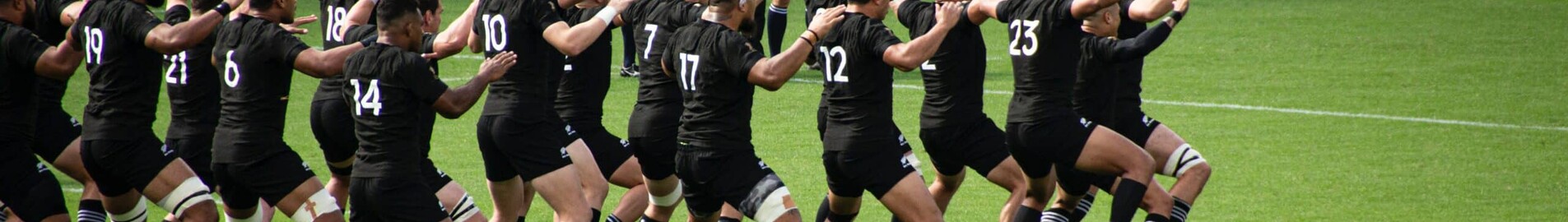 Coppa del Mondo di rugby 2023: in volo con un jet privato.