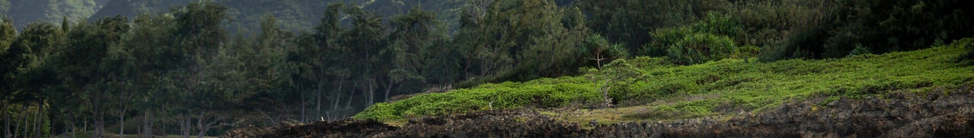 Hawaii : Noleggio di jet ed elicotteri privati