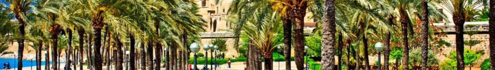 Amsterdam - Palma di Maiorca : noleggio jet privato