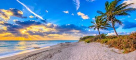 Houston - Palm beach : noleggio jet privati