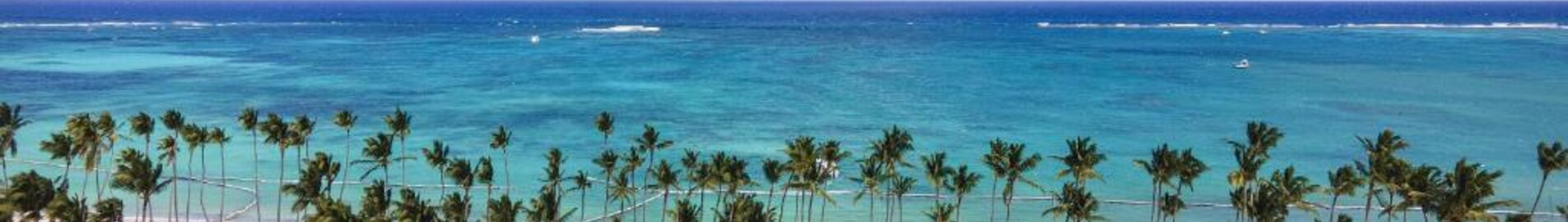 Palm Beach : noleggio jet privati