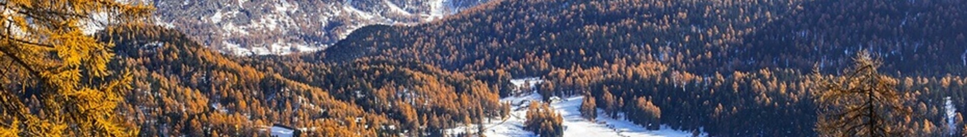Saint-Tropez - Saint-Moritz Samedan : noleggio jet privato