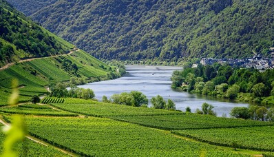 Vigneti europei da visitare in jet privato