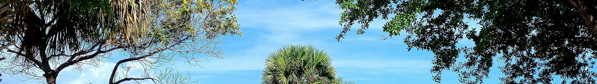 Los Angeles - Tampa : noleggio jet privato