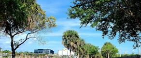 Los Angeles - Tampa : noleggio jet privato