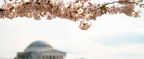 Las Vegas - Washington DC : noleggio jet privato