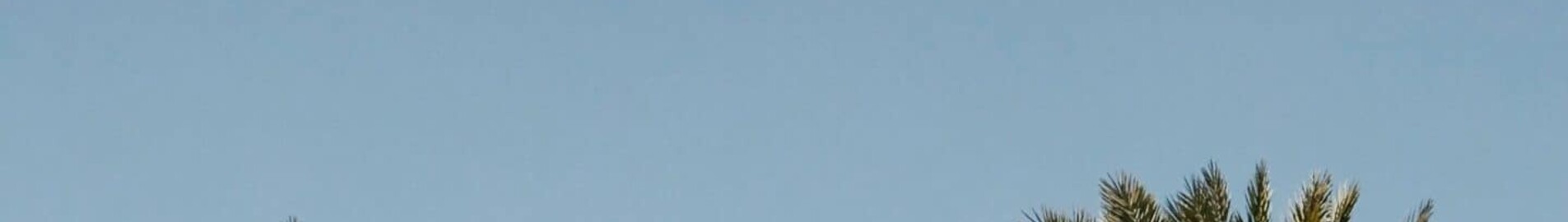 Houston - Orlando : noleggio jet privati