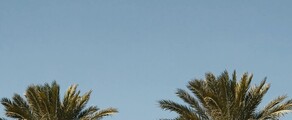 Houston - Orlando : noleggio jet privati