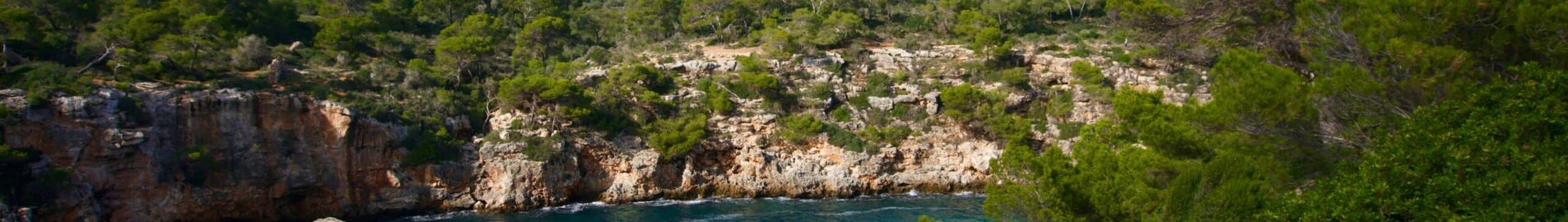 Francoforte - Palma : noleggio jet privati