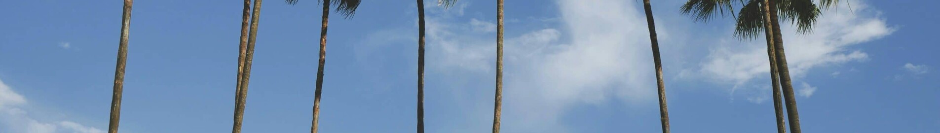 Los Angeles - Orlando : noleggio jet privato