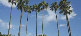 Los Angeles - Sacramento : noleggio jet privato