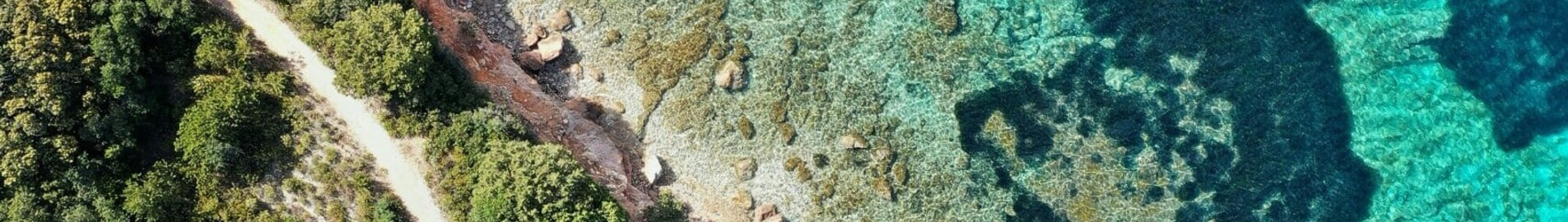 Francoforte - Olbia : noleggio jet privato
