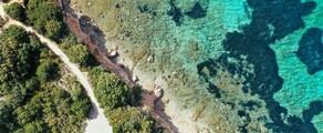 Francoforte - Olbia : noleggio jet privato