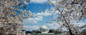 New York - Washington DC : noleggio jet privati