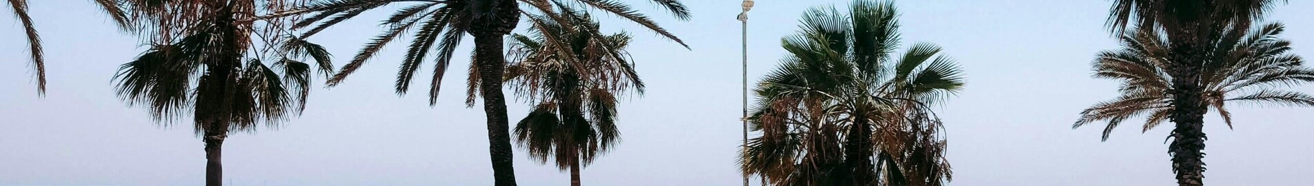Francoforte - Barcellona: noleggio jet privato
