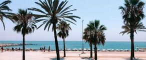 Francoforte - Barcellona: noleggio jet privato